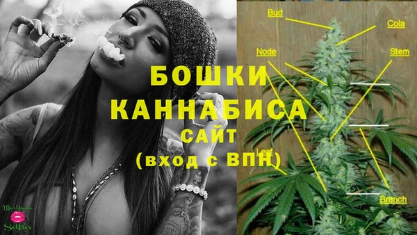 прущие крисы Нязепетровск