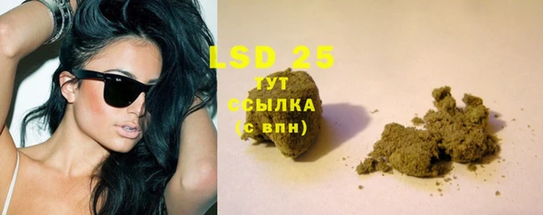 трава Аркадак