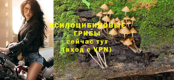 трава Аркадак