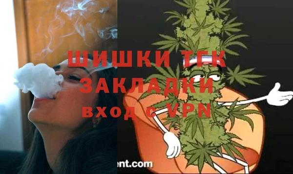 трава Аркадак