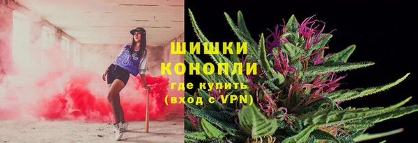 трава Аркадак